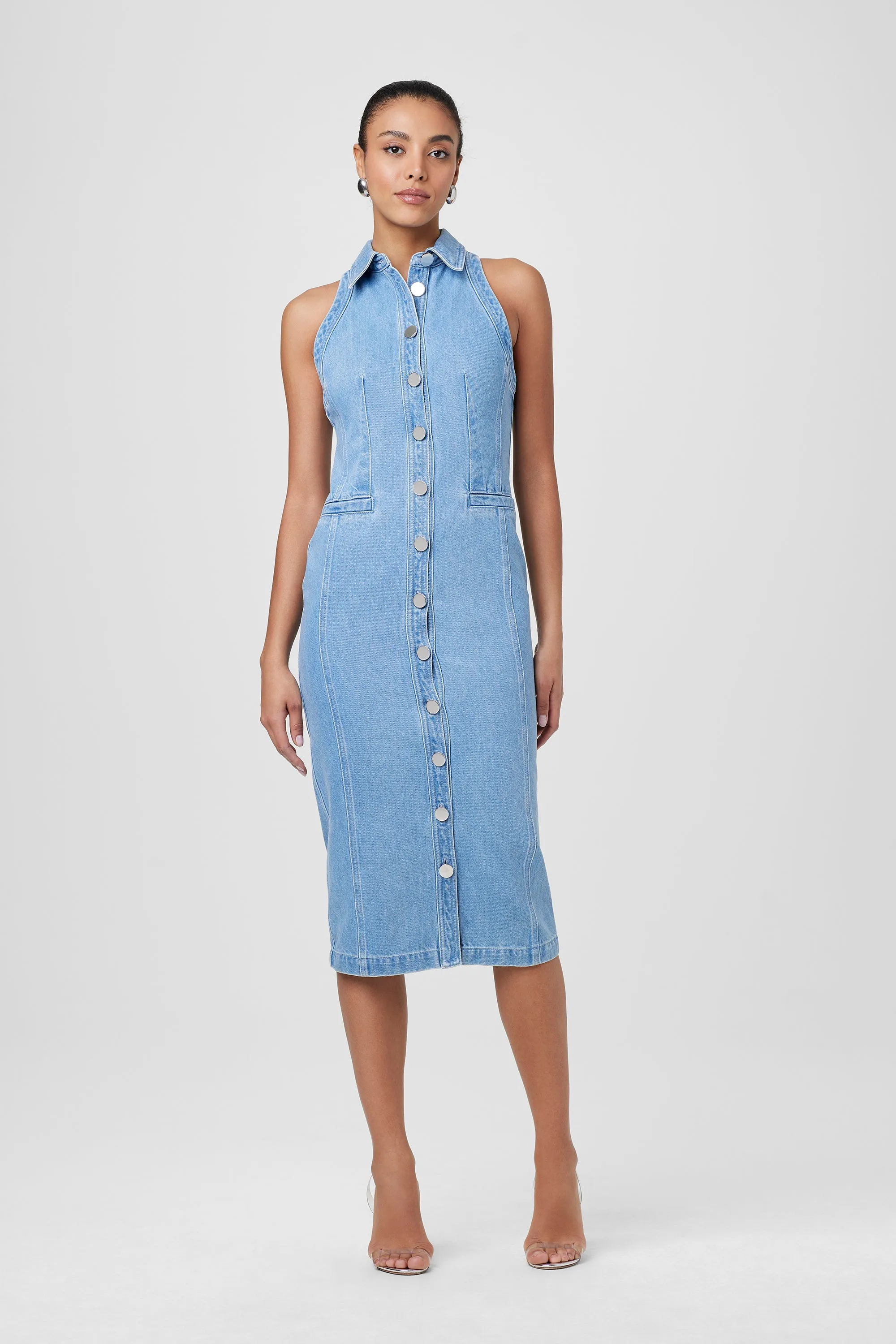 Palmer Button Down Denim Dress