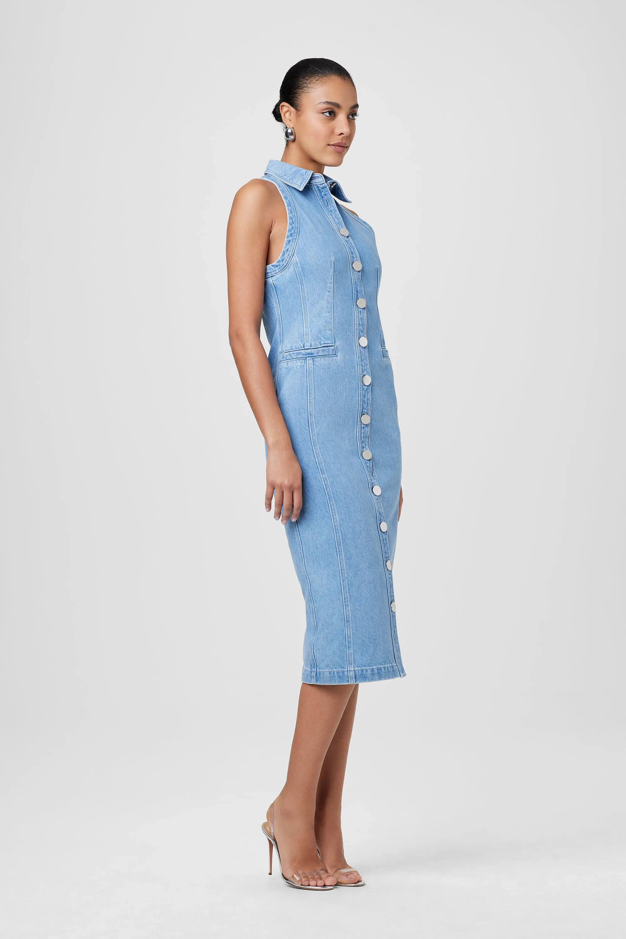 Palmer Button Down Denim Dress